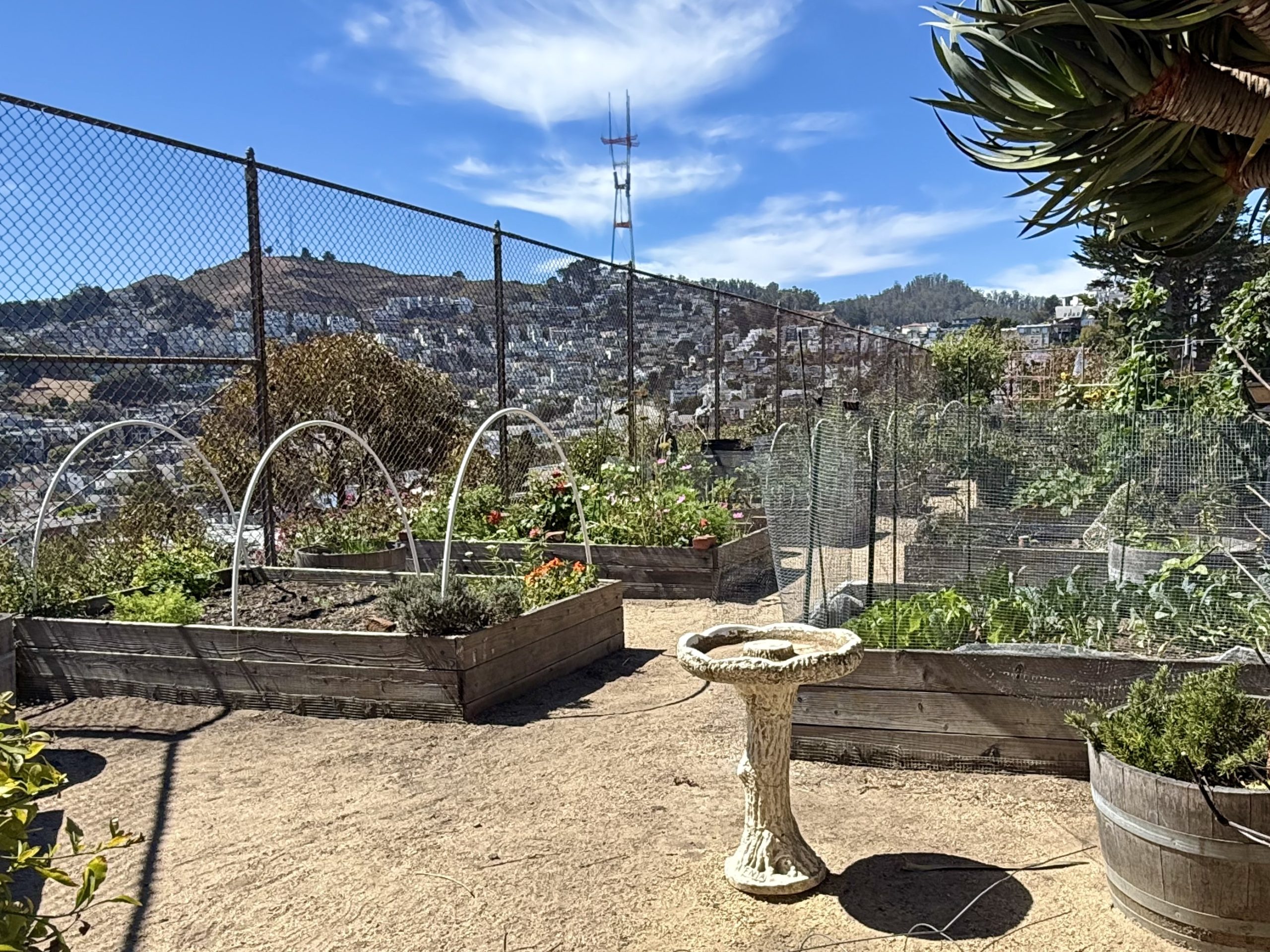 The Plots Thicken: We Rate Our Favorite San Francisco Community Gardens